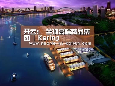 案例展示八