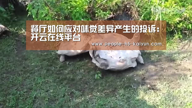 餐厅如何应对味觉差异产生的投诉:开云在线平台(图1) 开云官网