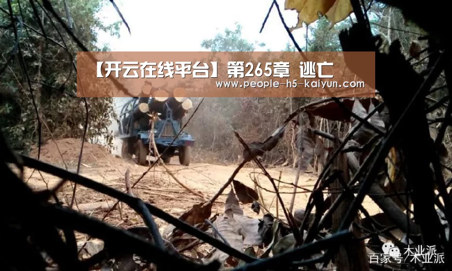 开云网页版