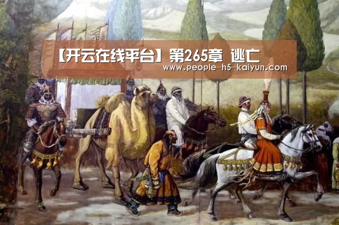 开云官方入口