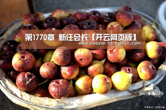 开云官方入口