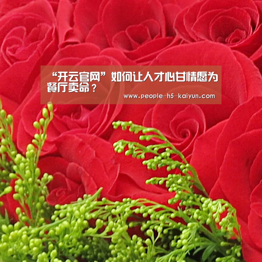 开云网页版