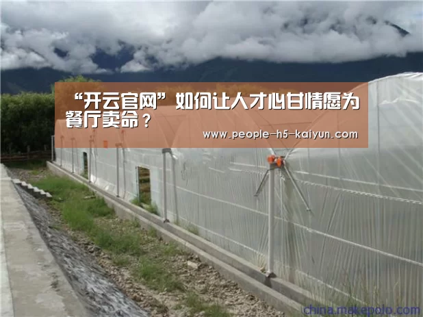 开云网页版